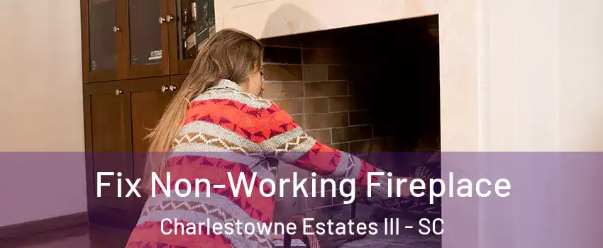 Fix Non-Working Fireplace Charlestowne Estates III - SC