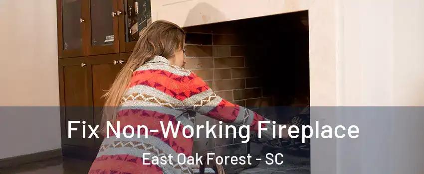 Fix Non-Working Fireplace East Oak Forest - SC