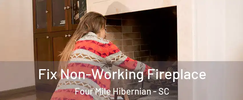 Fix Non-Working Fireplace Four Mile Hibernian - SC