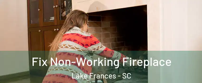 Fix Non-Working Fireplace Lake Frances - SC