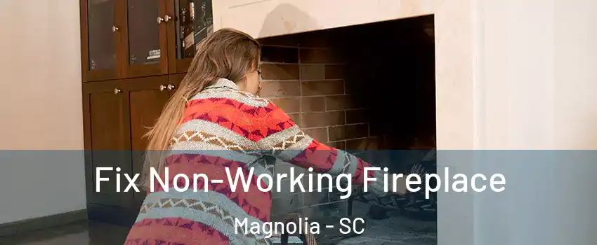 Fix Non-Working Fireplace Magnolia - SC