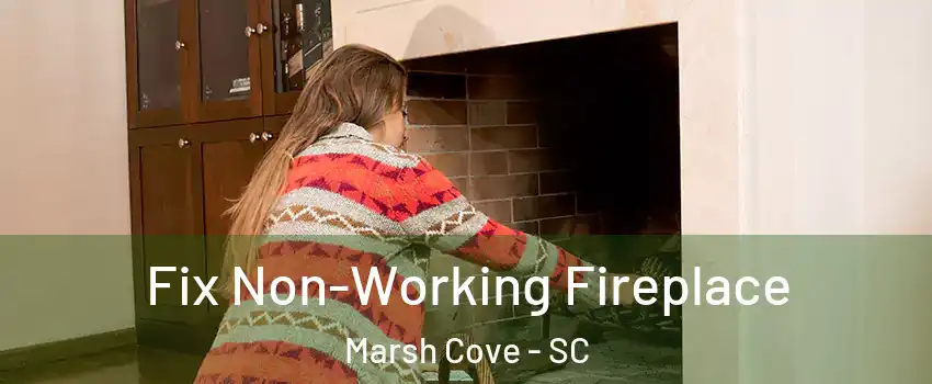 Fix Non-Working Fireplace Marsh Cove - SC