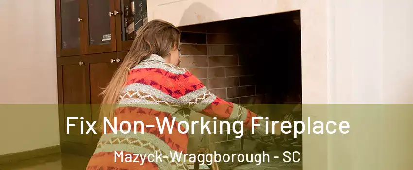 Fix Non-Working Fireplace Mazyck-Wraggborough - SC