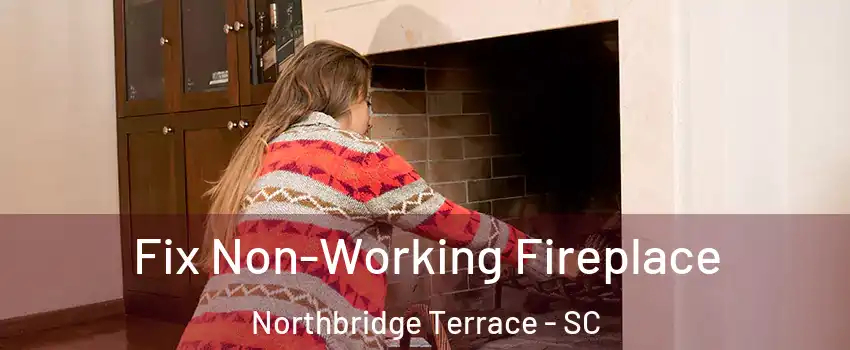 Fix Non-Working Fireplace Northbridge Terrace - SC