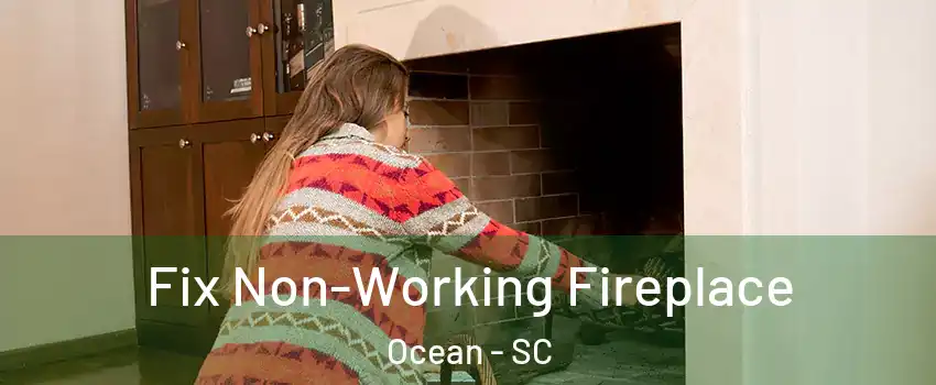 Fix Non-Working Fireplace Ocean - SC