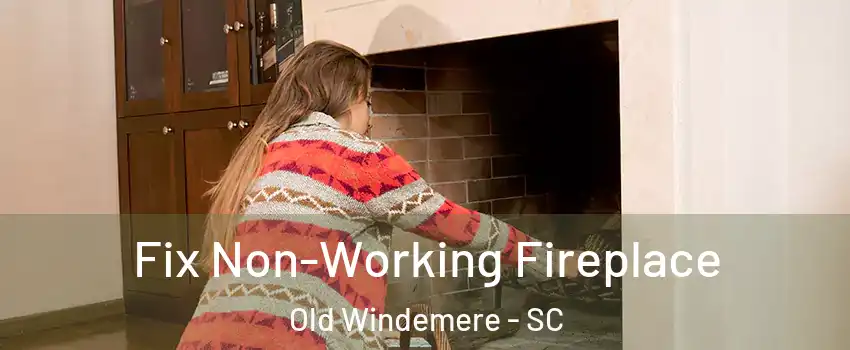 Fix Non-Working Fireplace Old Windemere - SC