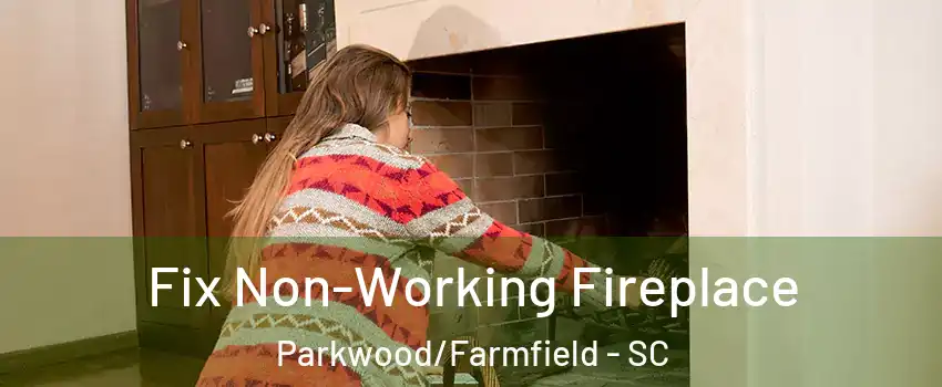 Fix Non-Working Fireplace Parkwood/Farmfield - SC