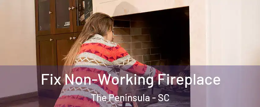 Fix Non-Working Fireplace The Peninsula - SC