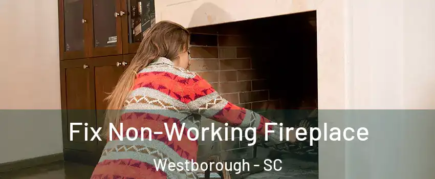 Fix Non-Working Fireplace Westborough - SC