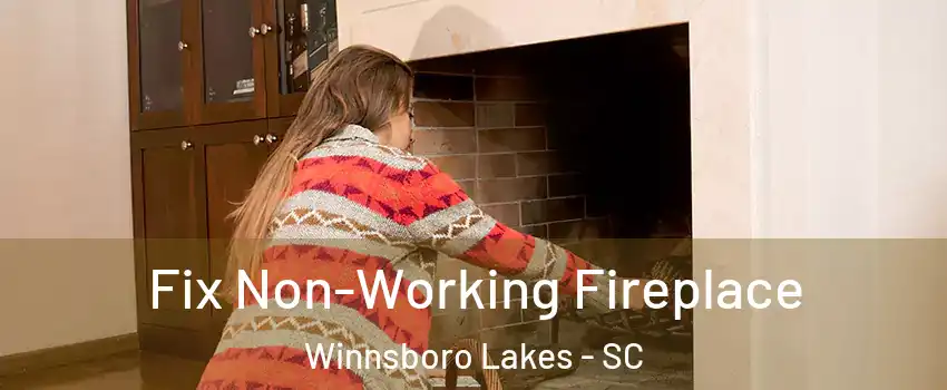 Fix Non-Working Fireplace Winnsboro Lakes - SC