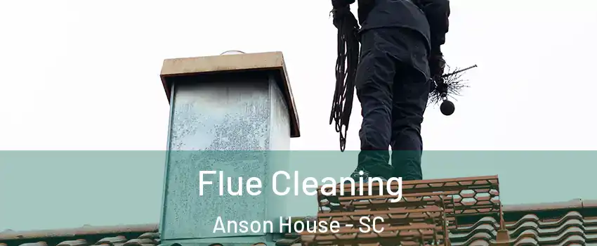 Flue Cleaning Anson House - SC