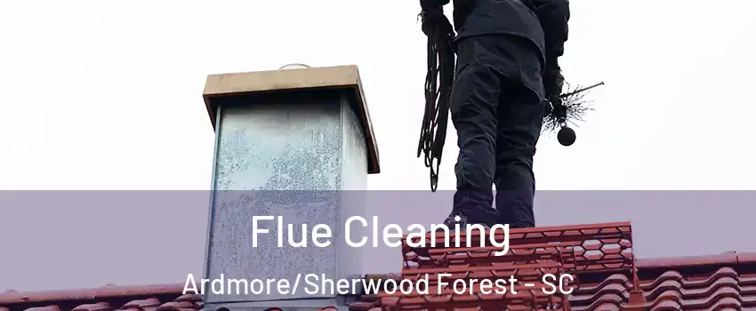 Flue Cleaning Ardmore/Sherwood Forest - SC