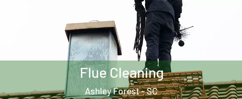 Flue Cleaning Ashley Forest - SC