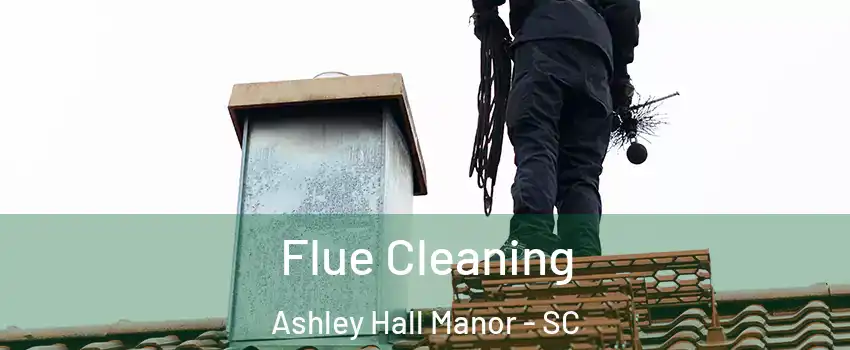 Flue Cleaning Ashley Hall Manor - SC