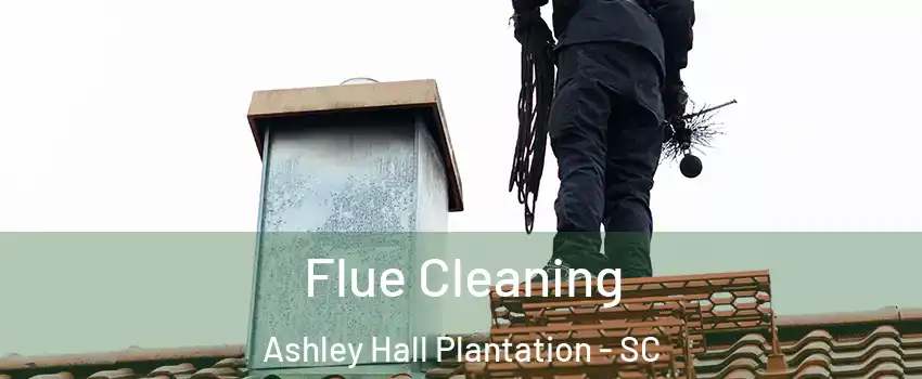 Flue Cleaning Ashley Hall Plantation - SC