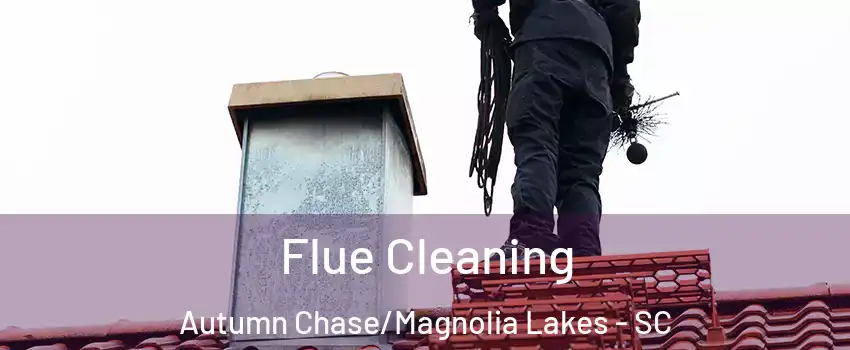 Flue Cleaning Autumn Chase/Magnolia Lakes - SC