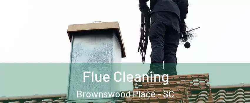 Flue Cleaning Brownswood Place - SC