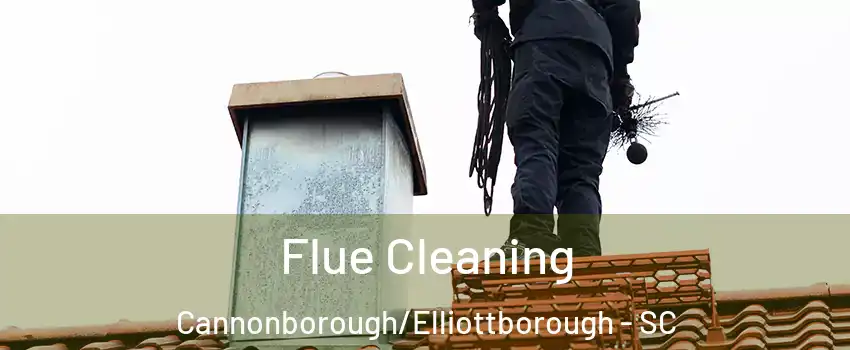 Flue Cleaning Cannonborough/Elliottborough - SC