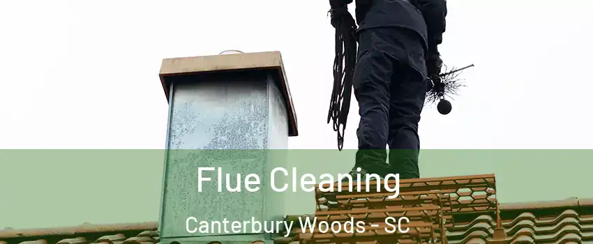 Flue Cleaning Canterbury Woods - SC