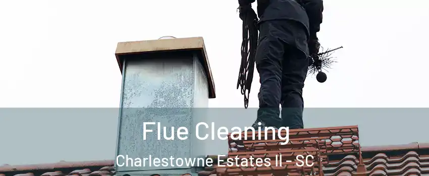 Flue Cleaning Charlestowne Estates II - SC