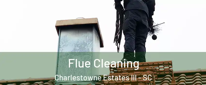 Flue Cleaning Charlestowne Estates III - SC