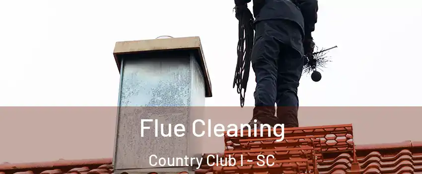 Flue Cleaning Country Club I - SC