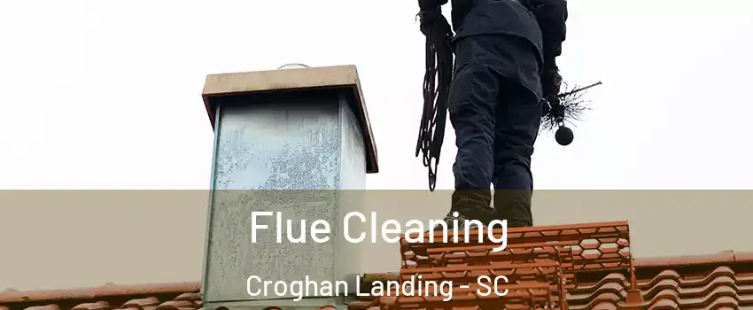 Flue Cleaning Croghan Landing - SC