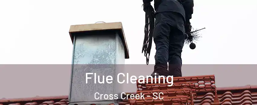 Flue Cleaning Cross Creek - SC