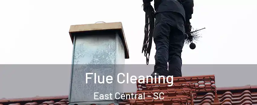 Flue Cleaning East Central - SC