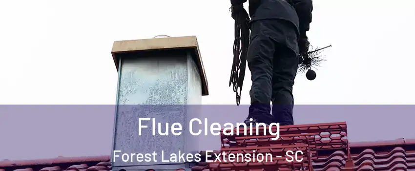 Flue Cleaning Forest Lakes Extension - SC