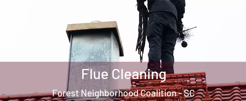 Flue Cleaning Forest Neighborhood Coalition - SC