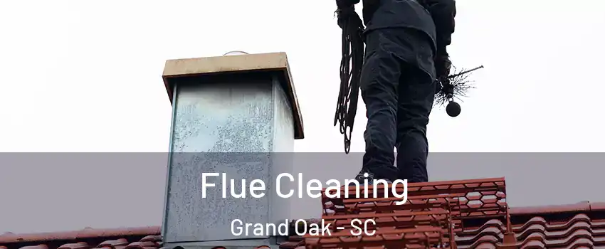 Flue Cleaning Grand Oak - SC