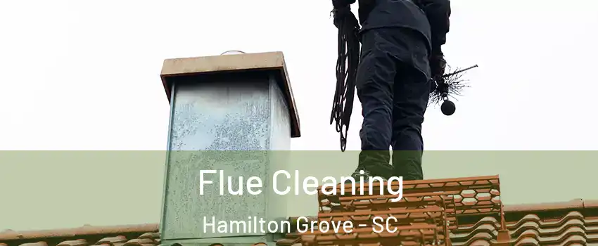 Flue Cleaning Hamilton Grove - SC