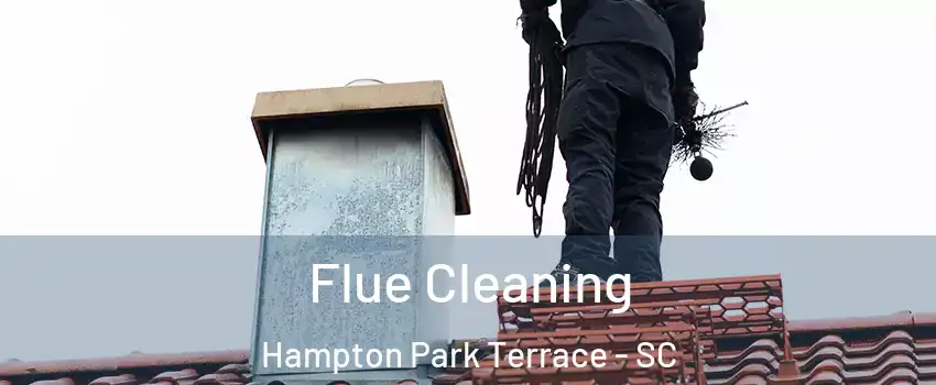 Flue Cleaning Hampton Park Terrace - SC