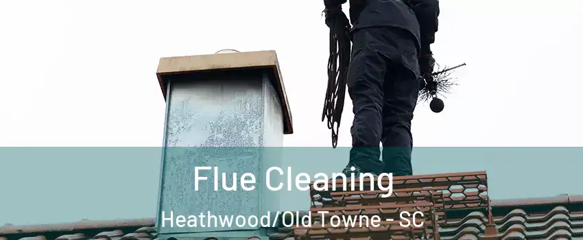 Flue Cleaning Heathwood/Old Towne - SC