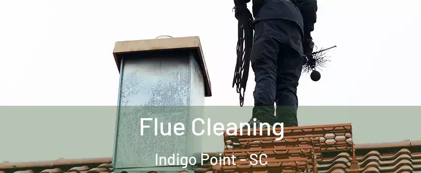 Flue Cleaning Indigo Point - SC