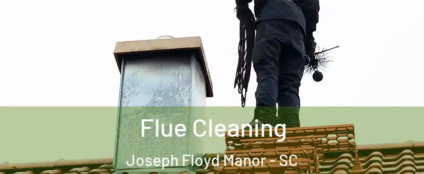 Flue Cleaning Joseph Floyd Manor - SC