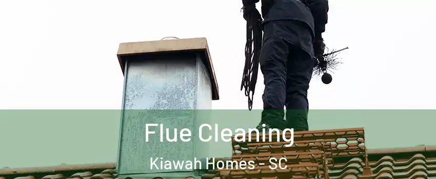 Flue Cleaning Kiawah Homes - SC