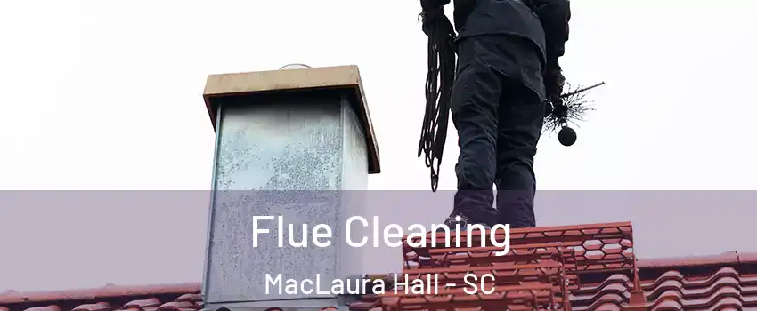 Flue Cleaning MacLaura Hall - SC