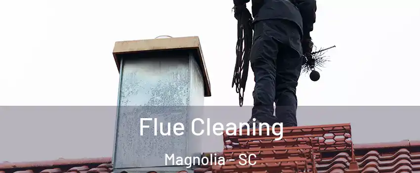 Flue Cleaning Magnolia - SC