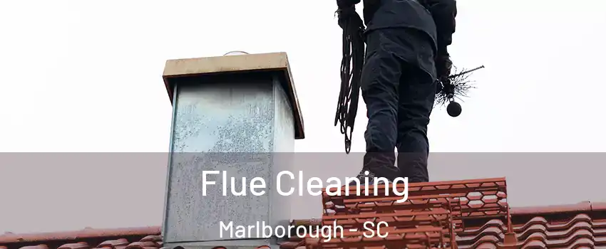 Flue Cleaning Marlborough - SC