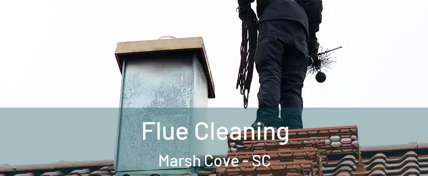 Flue Cleaning Marsh Cove - SC