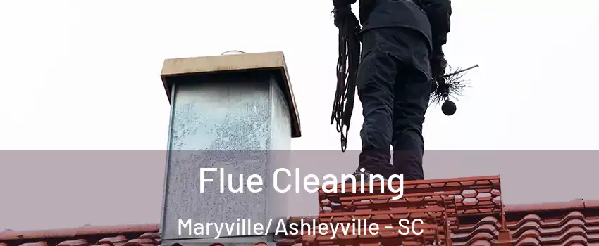 Flue Cleaning Maryville/Ashleyville - SC