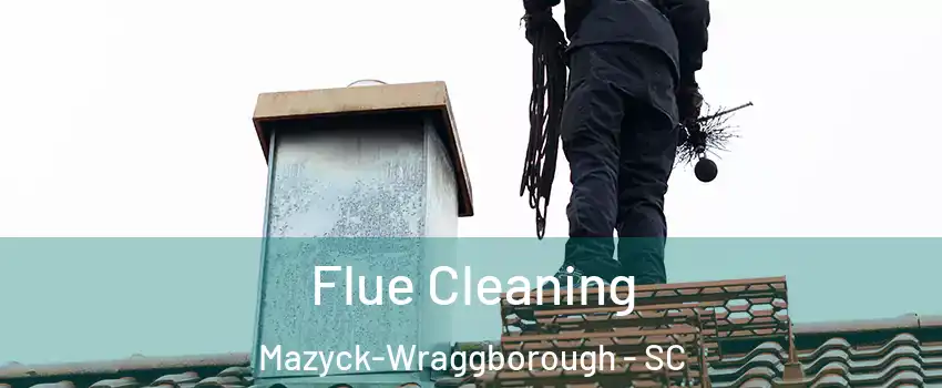 Flue Cleaning Mazyck-Wraggborough - SC