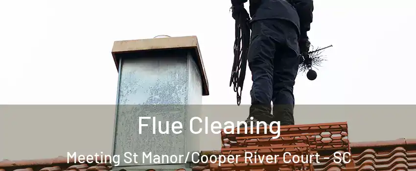 Flue Cleaning Meeting St Manor/Cooper River Court - SC