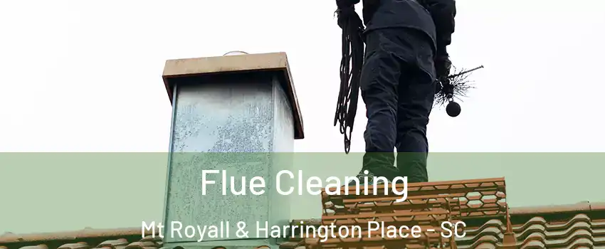 Flue Cleaning Mt Royall & Harrington Place - SC