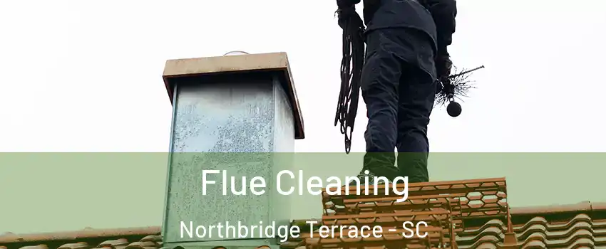 Flue Cleaning Northbridge Terrace - SC