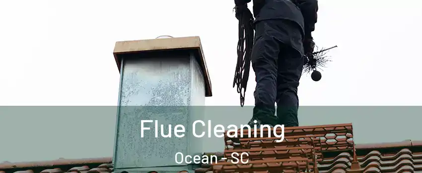 Flue Cleaning Ocean - SC