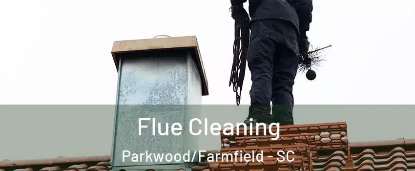 Flue Cleaning Parkwood/Farmfield - SC