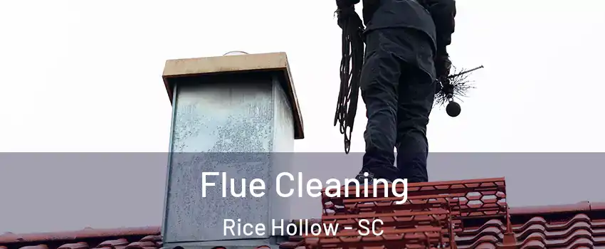 Flue Cleaning Rice Hollow - SC